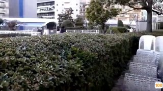 国产按摩精品,成人视频高清免费观看